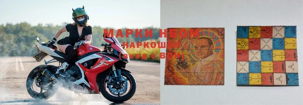 дурь Магас