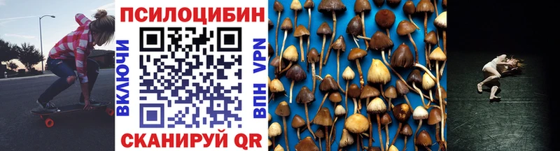 где найти   Мамадыш  Псилоцибиновые грибы мицелий 
